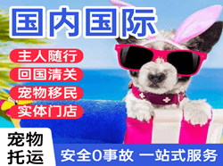 集宁机场快递国际宠物托运 【国